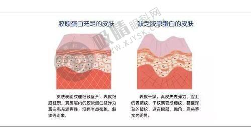 北京画美医疗美容医院正规资质解析，专科私立实力获认可