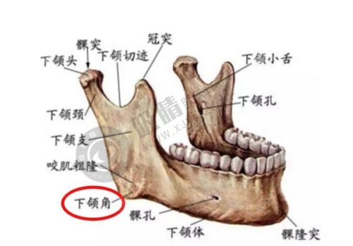 2. 排名第二:武汉美莱医疗美容医院——连锁品牌的优质之选