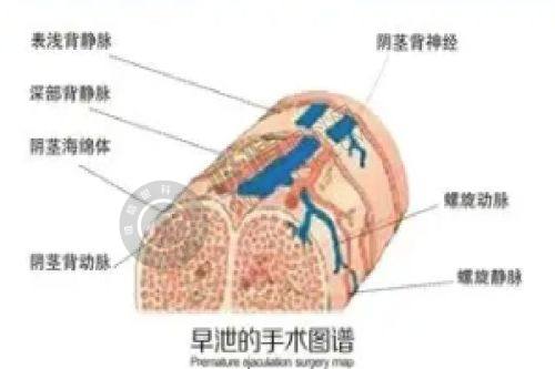 2. 李长江医生的鼻综合技术如何？有哪些实例？