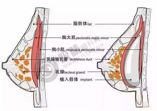 2. 温州韩星医疗美容有哪些特色医美项目？