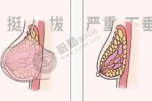 4. 衢州柯城黛妮尔整形的服务质量如何？