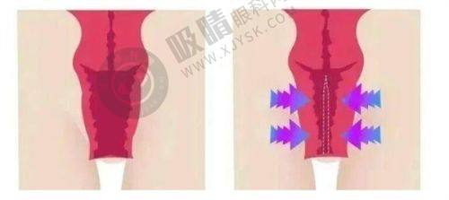 2. 湖州俪莼医疗美容的医生团队如何？
