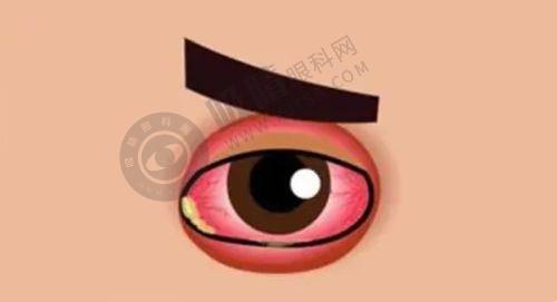 二、杭州未来科技城医院眼科的技术和设备有什么优势？