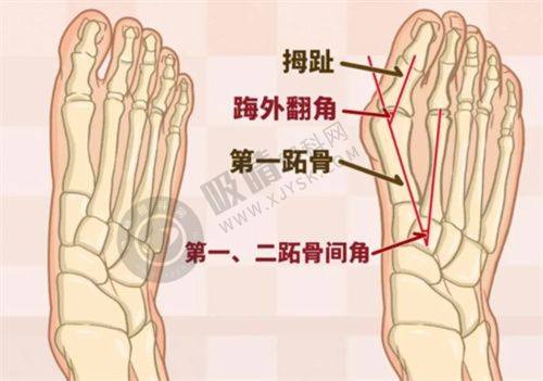 5. 浙江温州致臻颐和整形医院价格