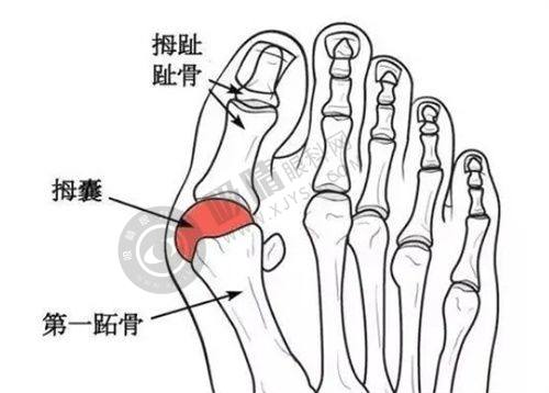 2. 浙江金华橘里医疗美容医院核心优势