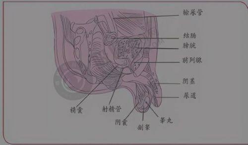 杭州艺星医疗美容医院