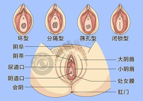 5. 永康光大医疗美容医院价格