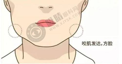 6. 浙江温州芘丽芙整形医院坐诊指南