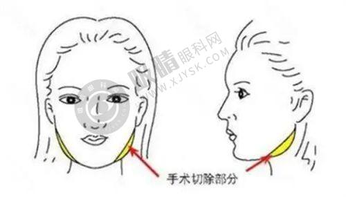 2. 浙江省义乌阳光美容医院核心优势