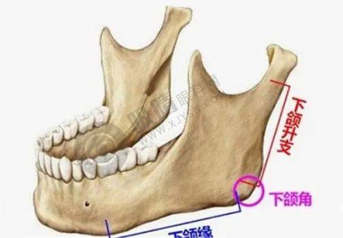 2. 浙江金华薇琳医疗美容医院核心优势