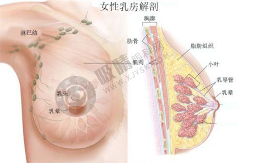 2. 浙江温州芘丽芙整形医院核心优势