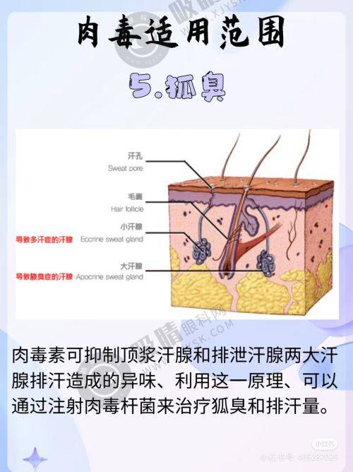 3. 浙江湖州林华医美（轻医美）医资力量
