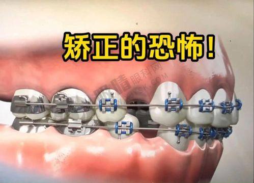 3. 嘉兴嘉善博厚口腔的专科团队实力怎样？