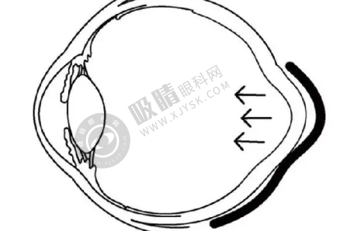 3. 郑州东方整形医院的价格情况如何？