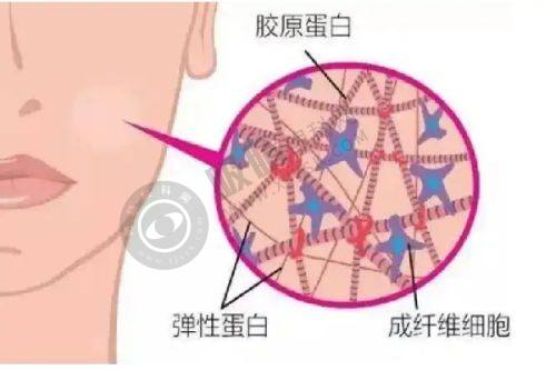 2. 郑州有美医疗美容医院有哪些特色项目？