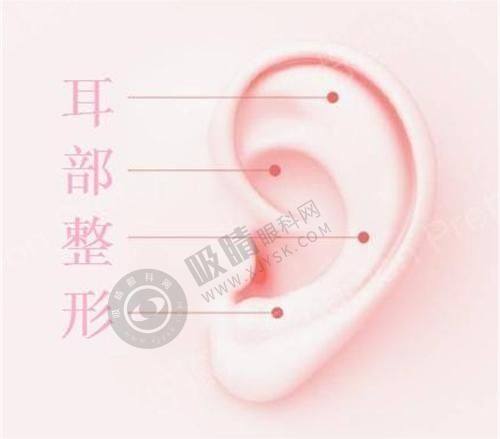 3. 浙江慈溪圣爱医院在宁波医美行业的地位如何？