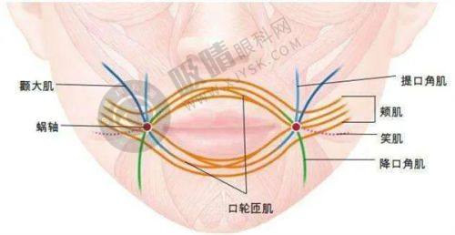 三、成都去疤痕项目收费情况