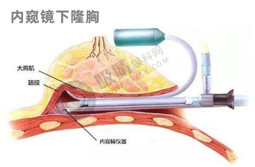 4. 诊所的资质正规吗?