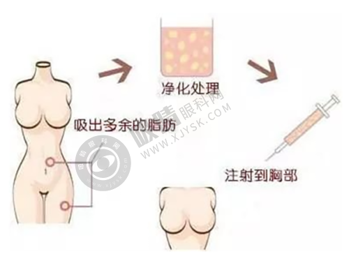 2. 成都棕南私密医疗美容门诊部的医生团队实力如何？