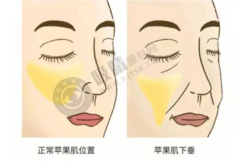 4. 郑州喜丽整形医院在行业内的地位如何？