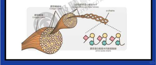 郑州芳华医疗美容正规吗？K系无痕双眼皮+8分钟丰胸技术，卫健委审批资质全揭秘！