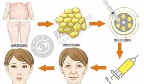 4. 各机构收费情况如何？