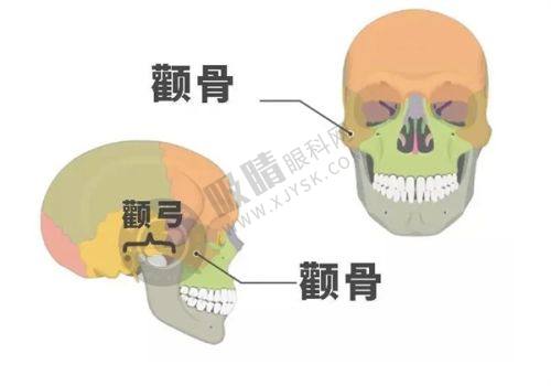 2. 郑州华仁植发的技术优势体现在哪里？