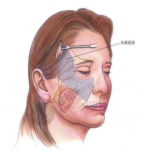 5. 珠海雅媛美容门诊部医院价格