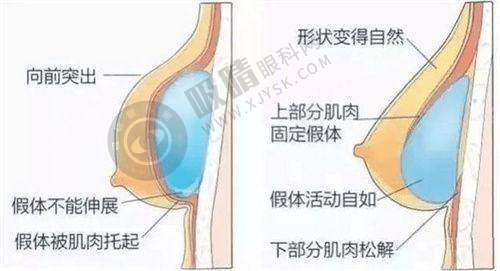 3. 深圳安美聚光整形的设备和服务怎么样?