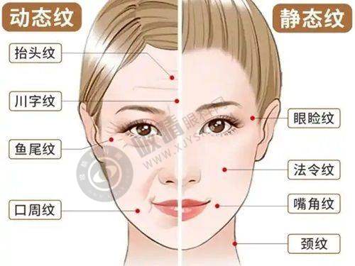 6. 东莞美立方医美医院交通指南