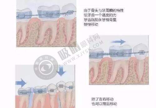 7. 东莞美立方医美医院坐诊指南