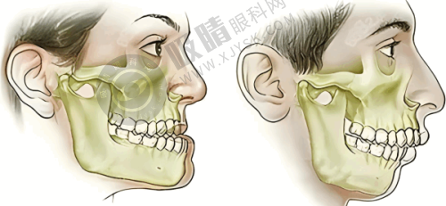 6. 深圳尔睦口腔连锁有哪些特色项目?