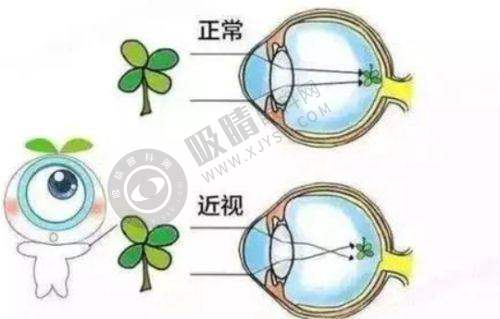 2. 全方面的专精擅长