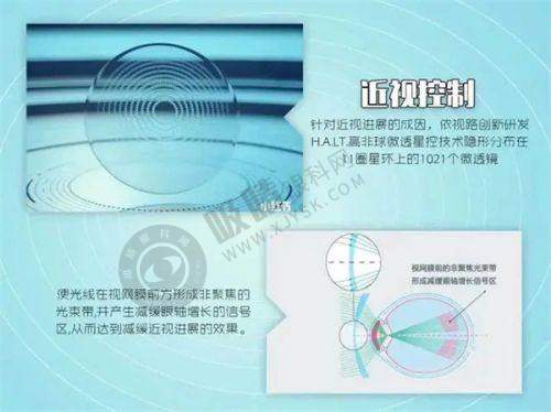 3. 秦艳医生显著的学术成就