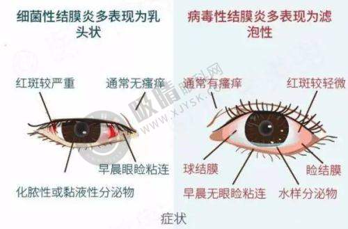 2. 邹德医生出色的擅长领域