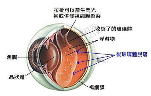 5. 郑汉医生的坐诊信息