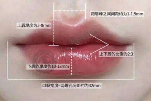 8. 郑州韩辰华领整形——爱豆同款项目骨干医生
