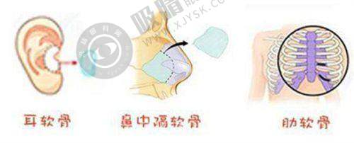 四、通用在线预约挂号快捷通道攻略