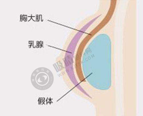 5. 北京嘉德安美医疗美容诊所（轻医美）医院价格