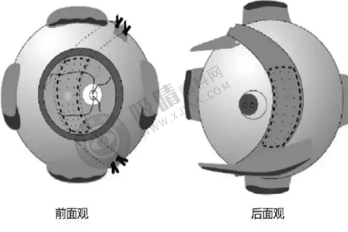 7. 陕西西安晶肤美容医院——皮肤抗衰领域佼佼者