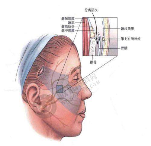 5. 排名第五:北京知音医疗美容医院——高能型隆鼻骨干医生的聚集地