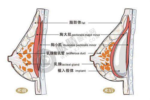 6. 北京雅韵整形医院交通指南