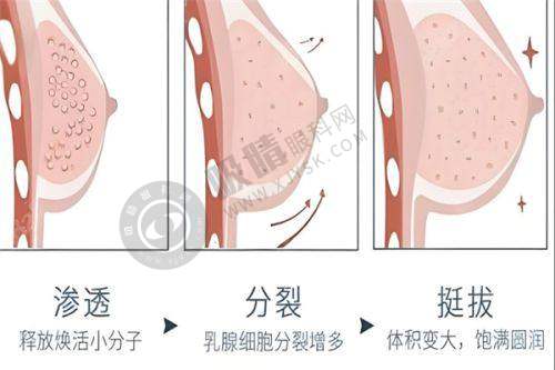 8. 徐州华美整形医院——徐州整形界的佼佼者