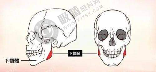 3. 北京欧扬湾畔轻医美医资力量