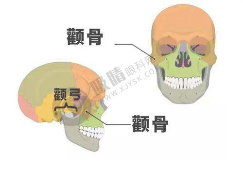 6. 兰州大学第(一)医院皮肤美容科——科研与临床结合科室