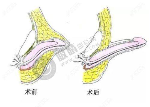 重庆军科整形美容医院怎么样医院综合评价