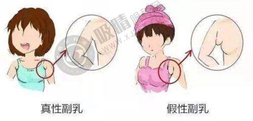 [成都八大处整形]特色项目及技术优势