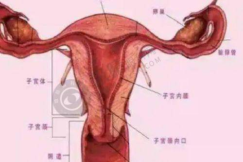 成都美容整形医院疤痕科怎么样？武侯区30年口碑科室、MDT多技术联合祛疤更靠谱