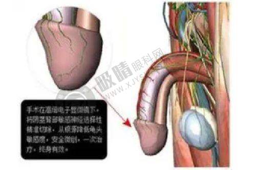 成都中医 大银海整形怎么样——医院地址与挂号指南
