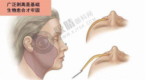 广州丽合医疗美容医院怎么样:医院综合评价